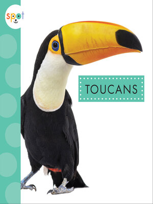 cover image of Toucans